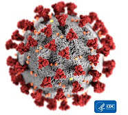 125157427_web1_Coronavirus--1-