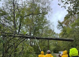 
			
				                                Crew members work on a tree that has fallen during the storm on Friday, Sept. 27.
                                 Submitted by Owen McNeill

			
		