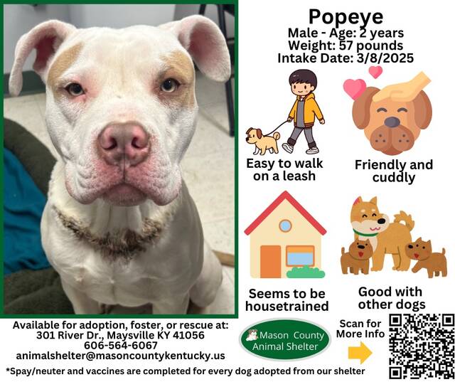 131387701_web1_Popeye-New-Bio