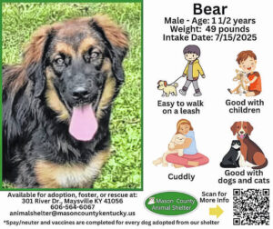 Wagging Tales from Mason County Animal Shelter