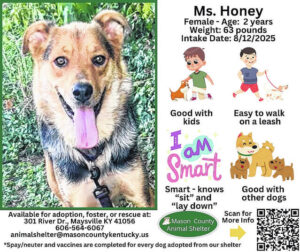 Wagging Tales from Mason County Animal Shelter