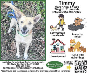 Wagging Tales from Mason County Animal Shelter