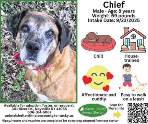 Wagging Tales from Mason County Animal Shelter