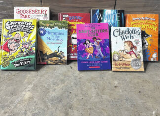 Mason County receives thousands of books for miniature libraries 
			
				                                Many of the books donated by the International Book Project are well-loved childrens books.