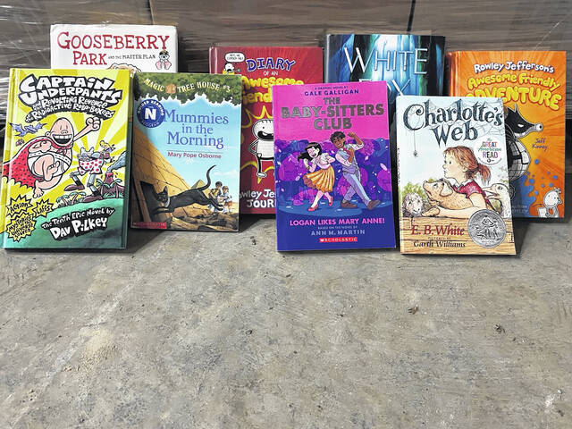 131889840_web1_IMG_4446
Many of the books donated by the International Book Project are well-loved childrens books.