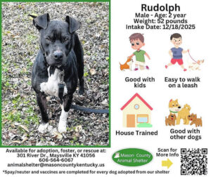 Wagging Tales from Mason County Animal Shelter