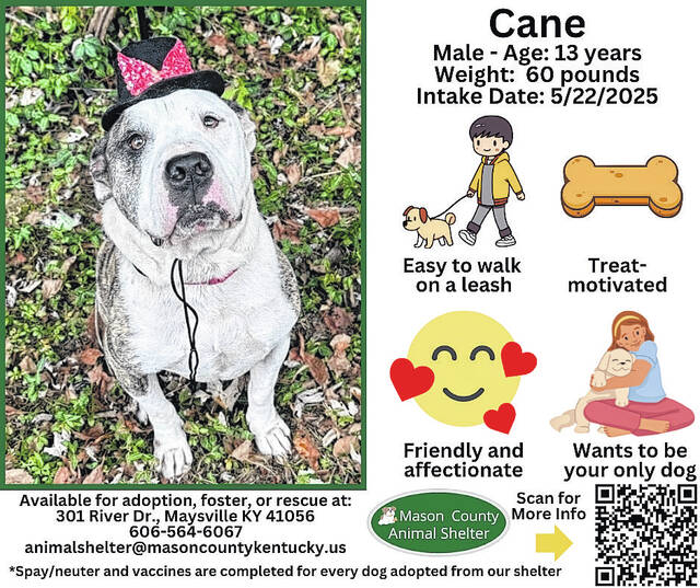 132104932_web1_31cd1339-7dcd-48d0-a218-0848970b444e