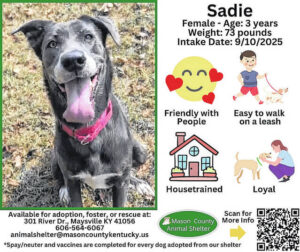 Wagging Tales from Mason County Animal Shelter