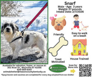 Wagging Tales from Mason County Animal Shelter