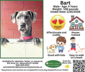 Wagging Tales from Mason County Animal Shelters