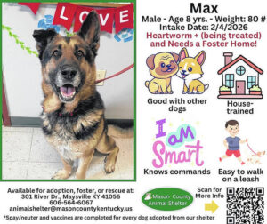 Wagging Tales from Mason County Animal Shelter