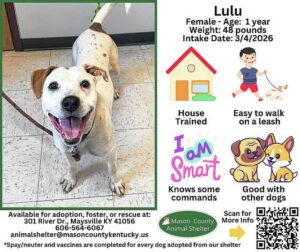 Wagging Tales from Mason County Animal Shelter