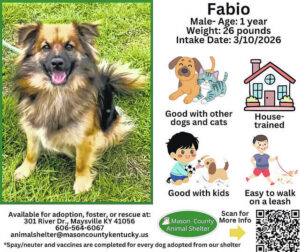 Wagging Tales from Mason County Animal Shelter